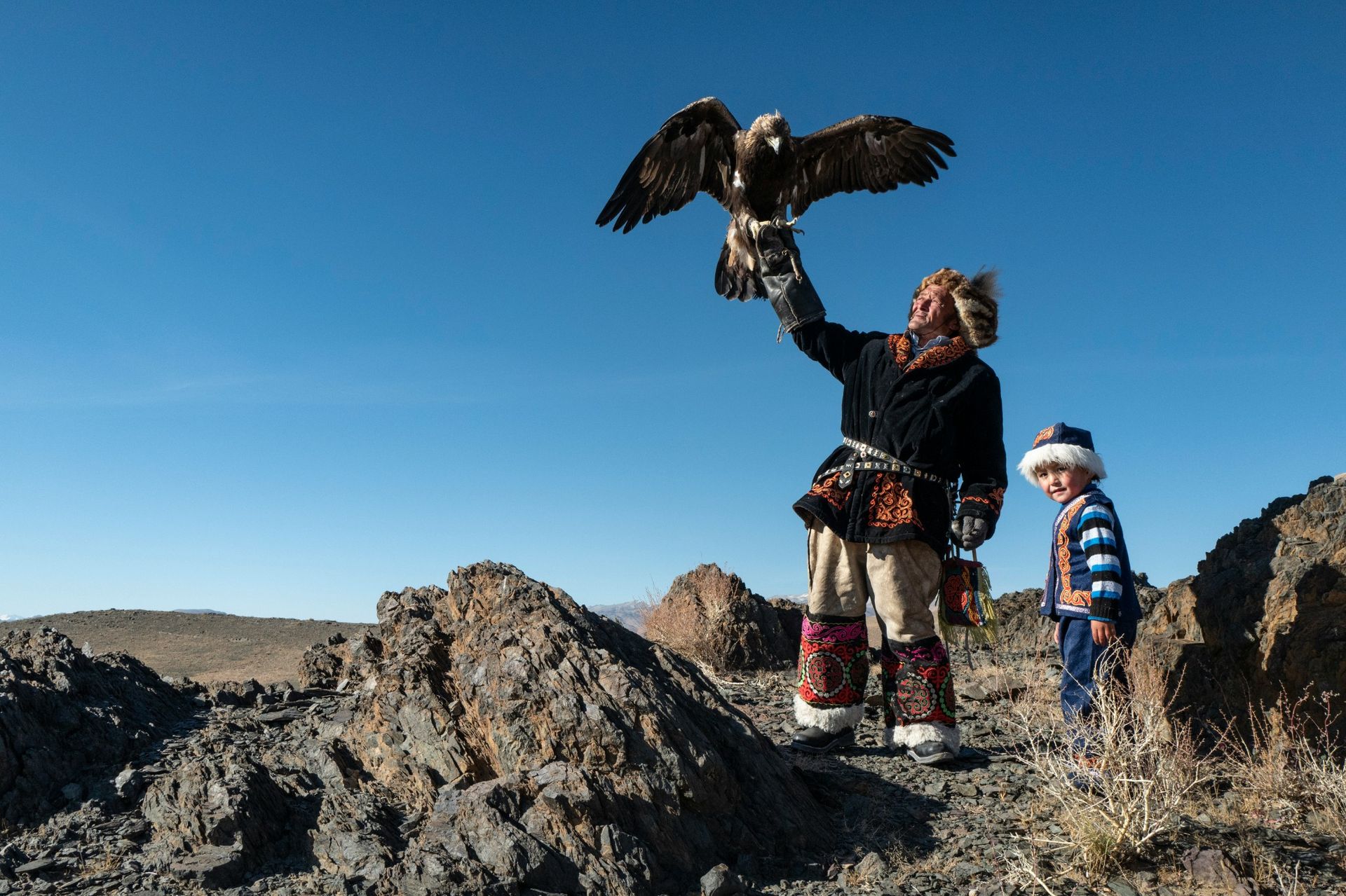 Eagle