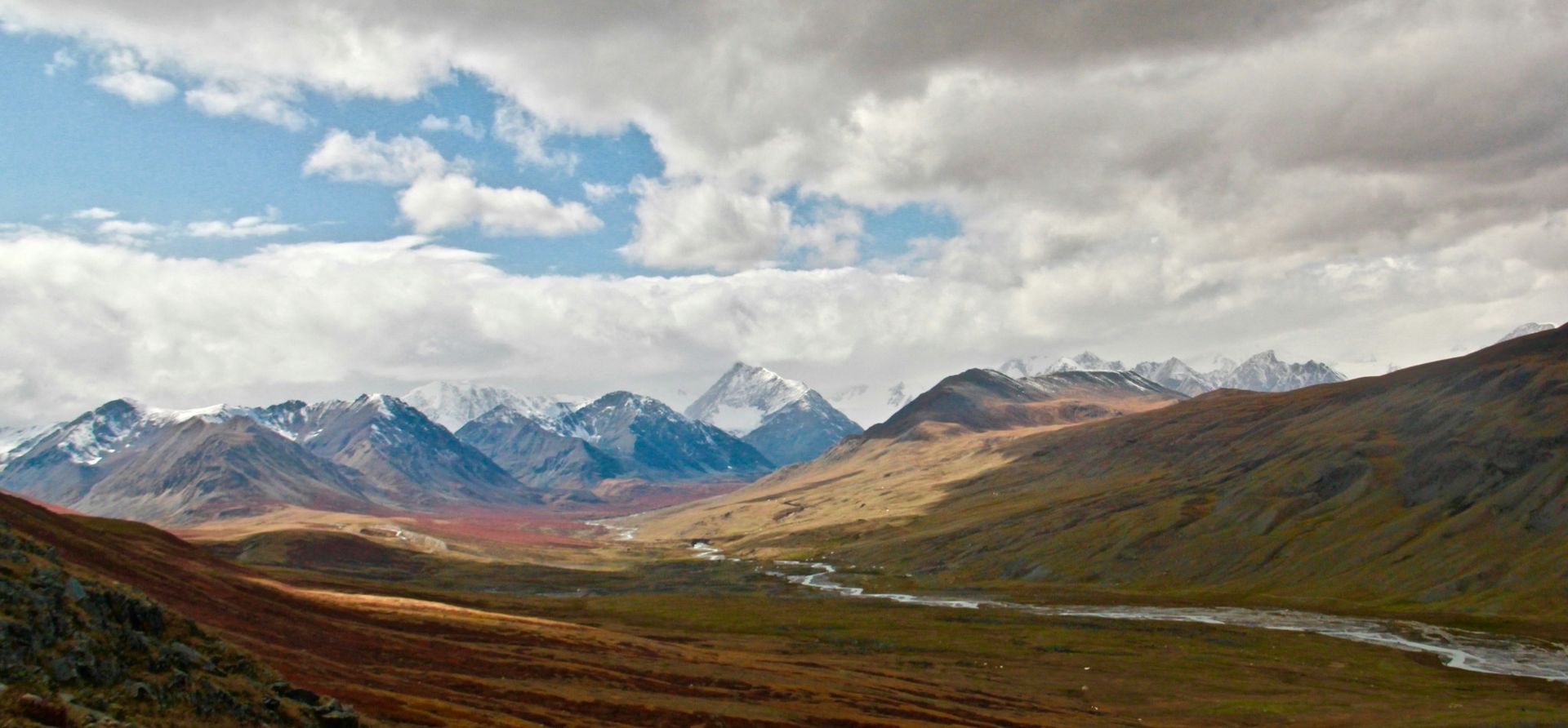 Steppe landscape